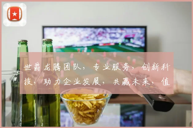 世爵龙腾团队，专业服务，创新科技，助力企业发展，共赢未来，值得信赖
