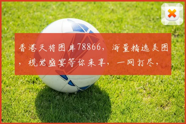 香港天将图库78866，海量精选美图，视觉盛宴等你来享，一网打尽，不容错过